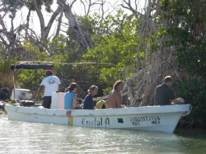 Tourist boat - sensible eco-tourism is
