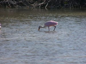 In the 118,00 acre nature preserve