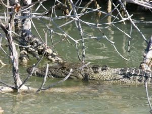 In the 118,00 acre nature preserve