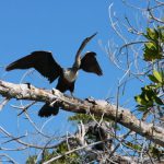 In the 118,00 acre nature preserve