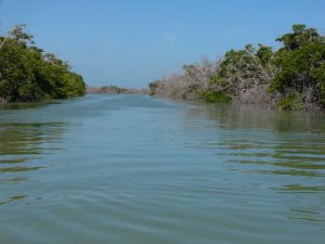 In the 118,00 acre nature preserve