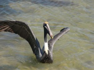 In the 118,00 acre nature preserve