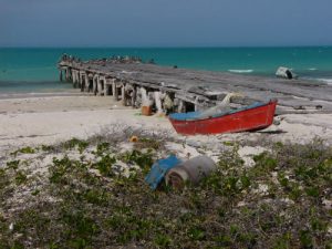 Las Coloradas, near Rio Lagartos.  This