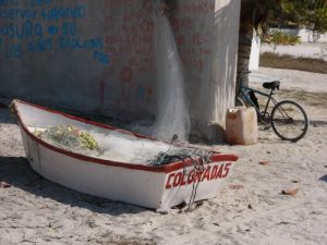 In the tiny village of Las Coloradas, near Rio Lagartos.