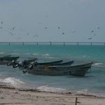 In the tiny village of Las Coloradas, near Rio Lagartos.