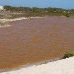 Salt farming in the tiny village