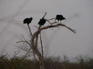 Along the rural road that leads