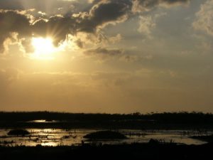 Marshy salt flats in