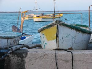 Rio Lagartos is a small fishing town.