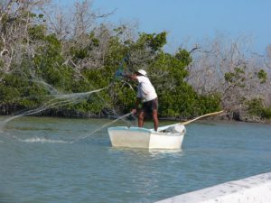 Rio Lagartos is home to numerous fishermen with nets.  Overfishing