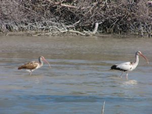 In the 118,00 acre nature preserve