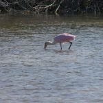 In the 118,00 acre nature preserve