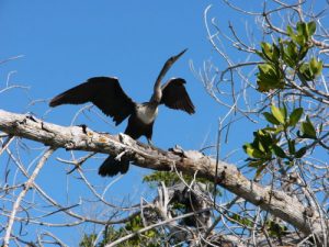 In the 118,00 acre nature preserve