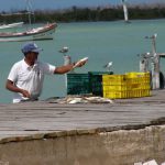 Rio Lagartos - cleaning the catch of the day