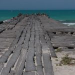 Pelicans on an old pier in