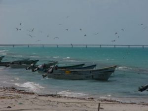 In the tiny village of Las Coloradas, near Rio Lagartos.