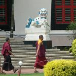 Students walk past manicured