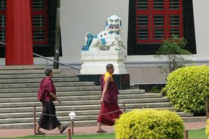 Students walk past manicured