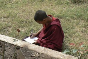 Student monk studying