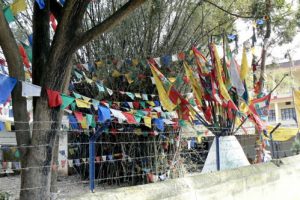 Buddhist prayer flags