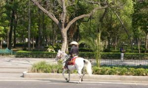 Alameda Park is a public park in downtown Mexico City.