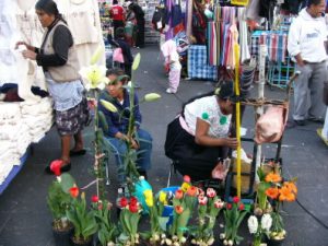 Zocalo Square market