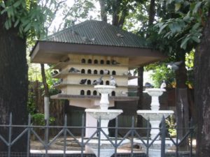 Pigeon house