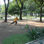 Tai chi practice n the park