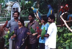 Family visitors to Jurong Bird Park
