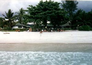 Ko Samui beach