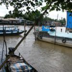 The very fertile Mekong Delta is