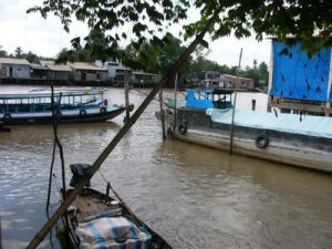 The very fertile Mekong Delta is