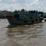 The very fertile Mekong Delta