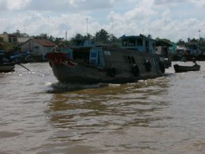 The very fertile Mekong Delta