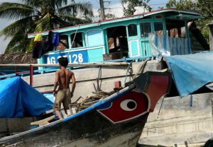 The very fertile Mekong Delta is