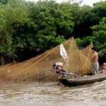 The Mekong Delta feeds the nation