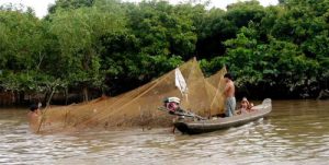 The Mekong Delta feeds the nation