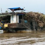 Mekong Delta - a