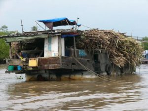 Mekong Delta - a