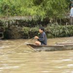 The very fertile Mekong Delta is