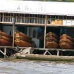 Boat maker's shop