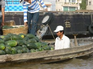 In the Mekong Delta