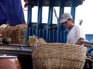 The very fertile Mekong Delta is