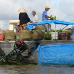 The very fertile Mekong Delta is