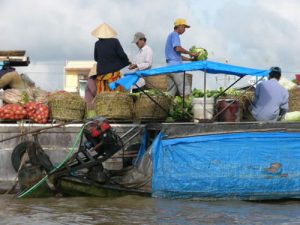 The very fertile Mekong Delta is