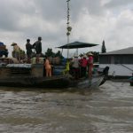 The very fertile Mekong Delta is