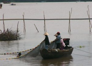 Hauling in a fish net with