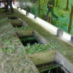 Museum display of trap doors