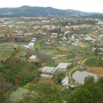 View from cable car to Truc