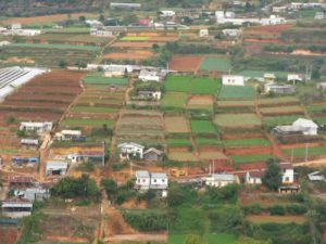 View from cable car to Truc